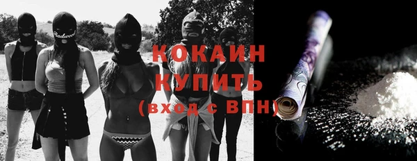 Альфа ПВП Верея