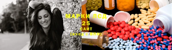 Альфа ПВП Верея