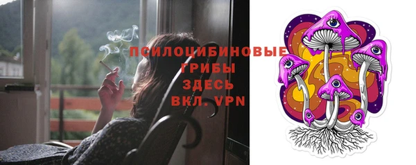 индика Верхний Тагил