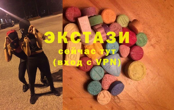 индика Верхний Тагил