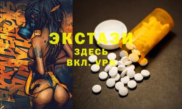 индика Верхний Тагил