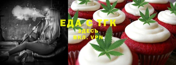 индика Верхний Тагил