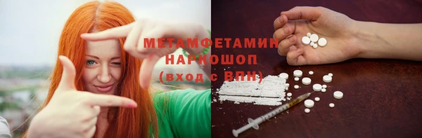 индика Верхний Тагил