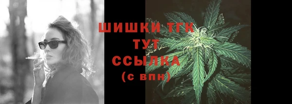 Альфа ПВП Верея