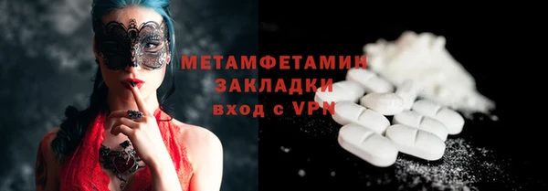 индика Верхний Тагил
