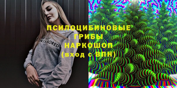 индика Верхний Тагил