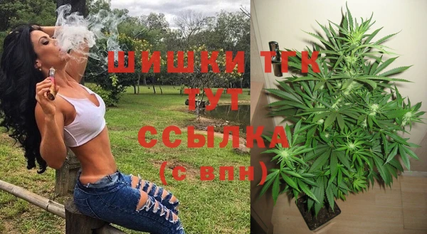 индика Верхний Тагил