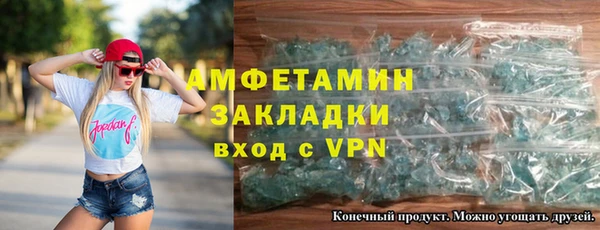 индика Верхний Тагил