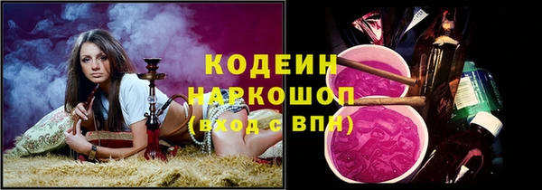 индика Верхний Тагил