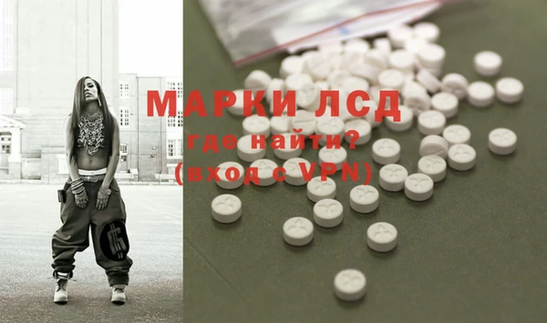 Альфа ПВП Верея