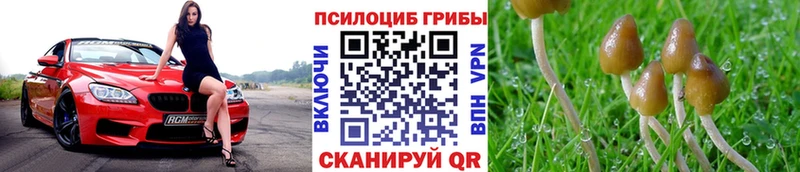 сколько стоит  Карталы  Галлюциногенные грибы MAGIC MUSHROOMS 